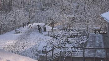 Weather camera view of Lake Roland Nature Council.