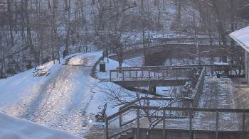 Weather camera view of Lake Roland Nature Council.