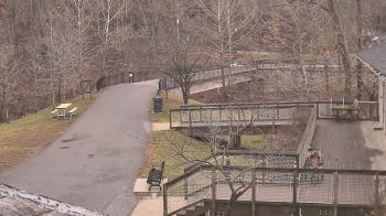 Weather camera view of Lake Roland Nature Council.