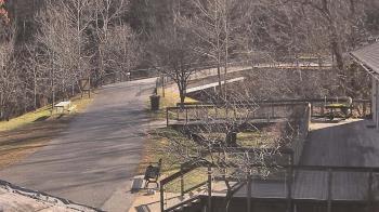 Weather camera view of Lake Roland Nature Council.