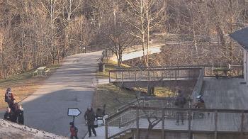 Weather camera view of Lake Roland Nature Council.