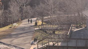 Weather camera view of Lake Roland Nature Council.