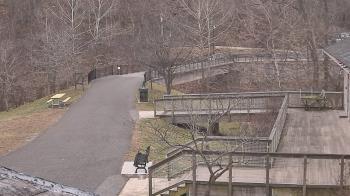 Weather camera view of Lake Roland Nature Council.