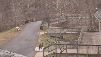 Weather camera view of Lake Roland Nature Council.