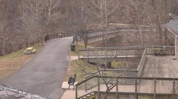 Weather camera view of Lake Roland Nature Council.