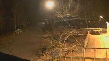 Weather camera view of Lake Roland Nature Council.