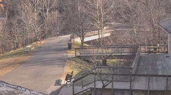 Weather camera view of Lake Roland Nature Council.