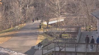 Weather camera view of Lake Roland Nature Council.