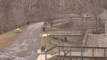 Weather camera view of Lake Roland Nature Council.
