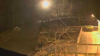 Weather camera view of Lake Roland Nature Council.