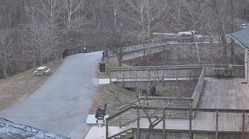 Weather camera view of Lake Roland Nature Council.