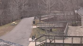 Weather camera view of Lake Roland Nature Council.