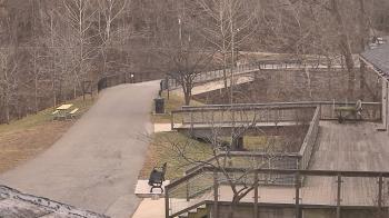 Weather camera view of Lake Roland Nature Council.