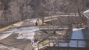 Weather camera view of Lake Roland Nature Council.