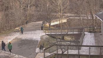 Weather camera view of Lake Roland Nature Council.