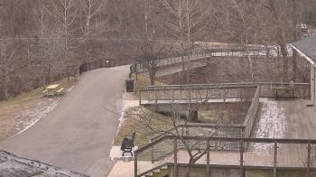 Weather camera view of Lake Roland Nature Council.