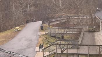 Weather camera view of Lake Roland Nature Council.