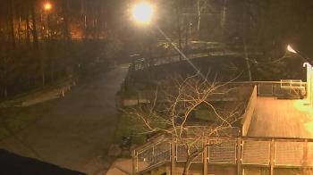 Weather camera view of Lake Roland Nature Council.