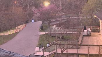 Weather camera view of Lake Roland Nature Council.