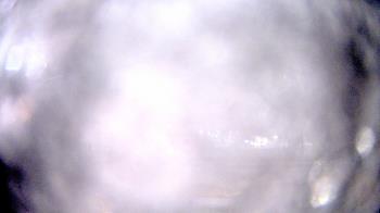 Weather camera view of Madison Public Safety Building.