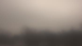 Weather camera view of Lincoln Elementary School.