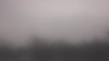 Weather camera view of Lincoln Elementary School.