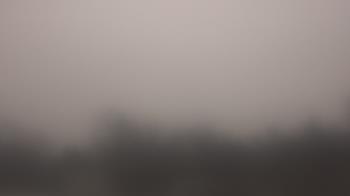 Weather camera view of Lincoln Elementary School.