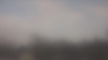 Weather camera view of Lincoln Elementary School.