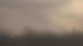 Weather camera view of Lincoln Elementary School.