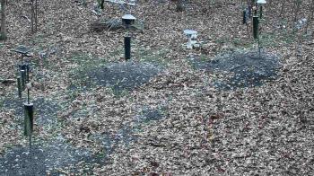 Weather camera view of Cincinnati Nature Center.