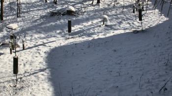 Weather camera view of Cincinnati Nature Center.