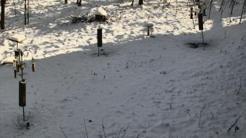 Weather camera view of Cincinnati Nature Center.