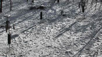 Weather camera view of Cincinnati Nature Center.