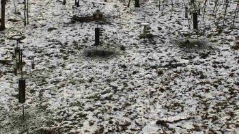 Weather camera view of Cincinnati Nature Center.