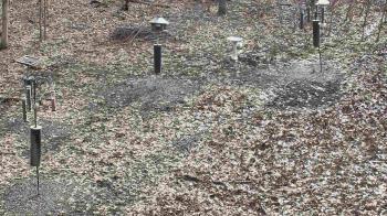 Weather camera view of Cincinnati Nature Center.