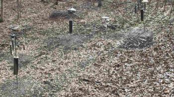 Weather camera view of Cincinnati Nature Center.