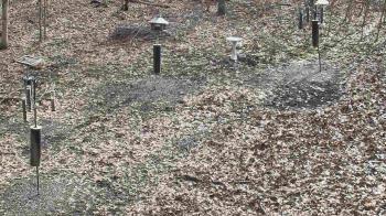 Weather camera view of Cincinnati Nature Center.