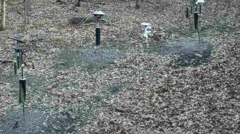 Weather camera view of Cincinnati Nature Center.