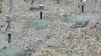 Weather camera view of Cincinnati Nature Center.