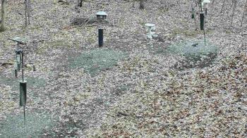 Weather camera view of Cincinnati Nature Center.