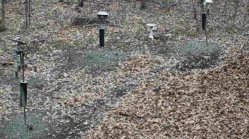 Weather camera view of Cincinnati Nature Center.