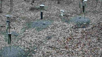 Weather camera view of Cincinnati Nature Center.
