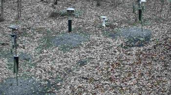 Weather camera view of Cincinnati Nature Center.