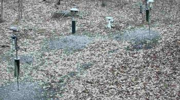 Weather camera view of Cincinnati Nature Center.