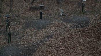 Weather camera view of Cincinnati Nature Center.