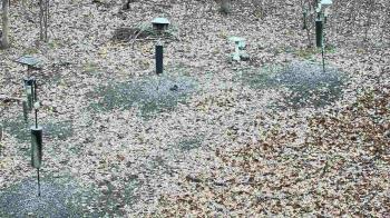 Weather camera view of Cincinnati Nature Center.