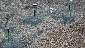 Weather camera view of Cincinnati Nature Center.