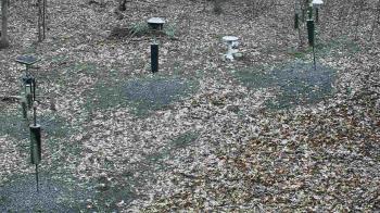 Weather camera view of Cincinnati Nature Center.