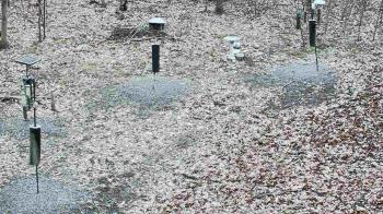 Weather camera view of Cincinnati Nature Center.
