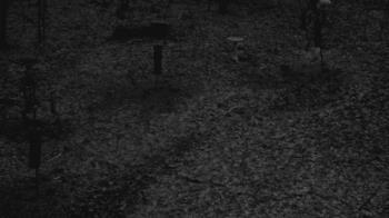 Weather camera view of Cincinnati Nature Center.